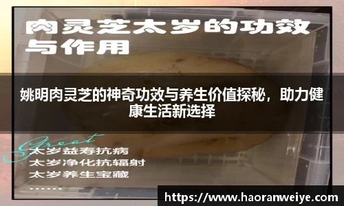 快盈v3首页